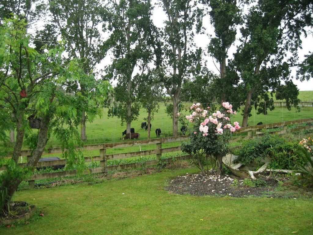 Miranda Orchard Cottage Extérieur photo