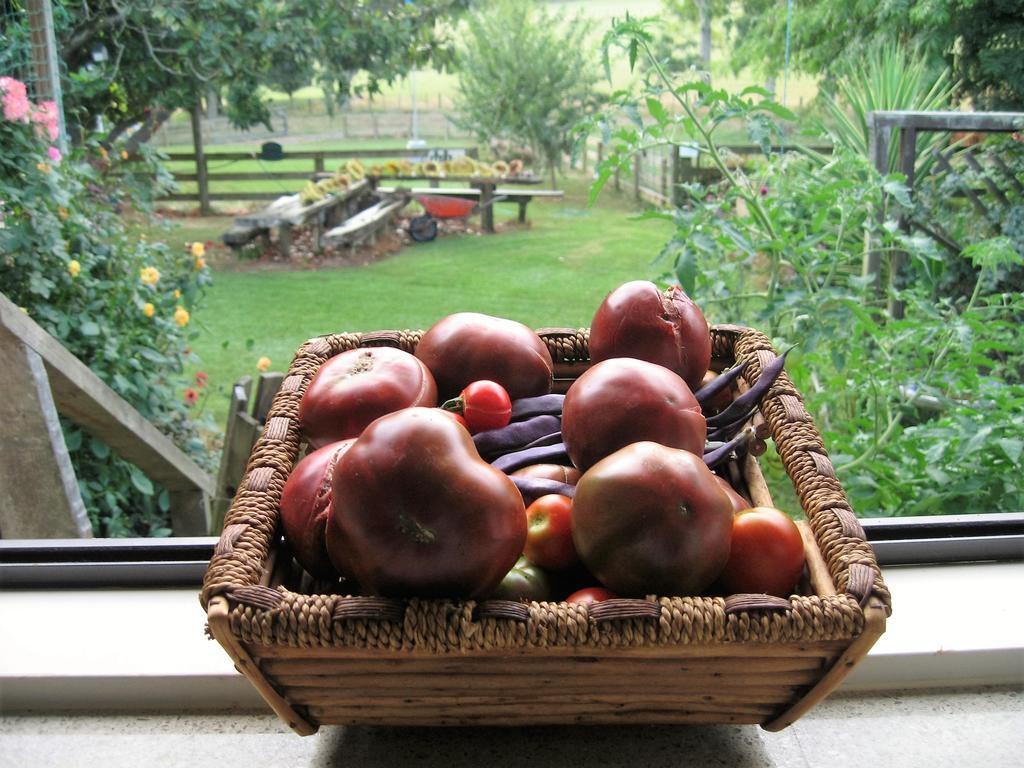 Miranda Orchard Cottage Extérieur photo