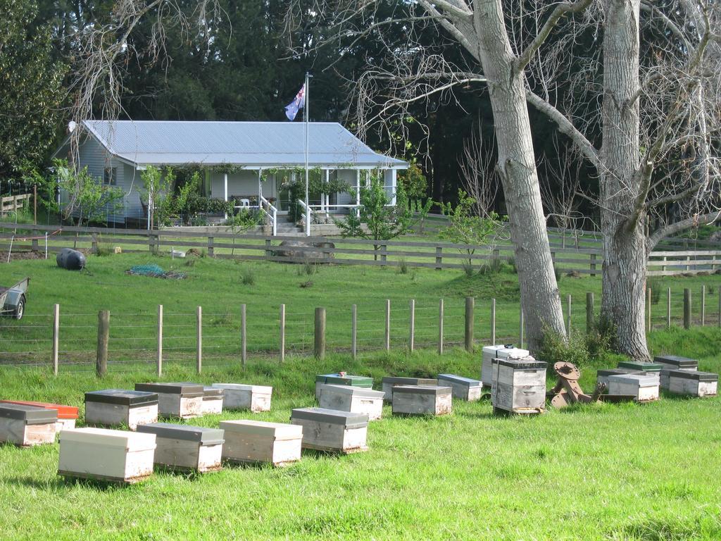 Miranda Orchard Cottage Extérieur photo